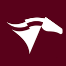 Ridenews APK
