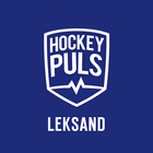 Hockeypuls Leksand icône
