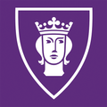 TimRapporten