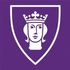 TimRapporten icon