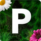 Pollenvarning för allergier SE