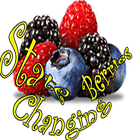 State Changing Berries أيقونة