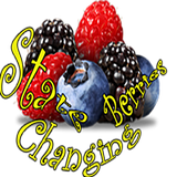 State Changing Berries icon