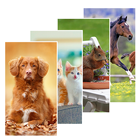 Animal Wallpapers иконка
