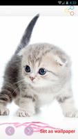 Animal Wallpapers скриншот 1