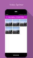 Video Splitter captura de pantalla 2