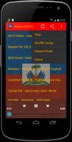 Haitian MUSIC Radio imagem de tela 1