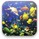 Aquarium Free Video Wallpaper aplikacja
