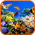 Sea Life 3D Video Wallpaper icône