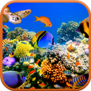 Sea Life 3D Video Wallpaper APK