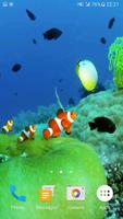 Sea Life 3D Video Wallpaper Affiche