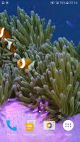 Sea Life 3D Video Wallpaper capture d'écran 2