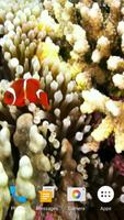 Sea Life 3D Video Wallpaper capture d'écran 3