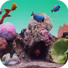 ikon Seawater Aquarium Video Wallpa