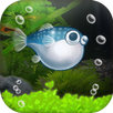 ぼくのフグさん水族館 【無料でかわいい育成ゲーム】 APK
