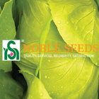 Noble Seeds icône