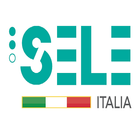 SELE Safe lift, simple life ícone