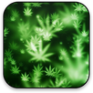 Marijuana Live Wallpaper APK