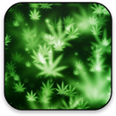 Marihuana Hintergrundbilder APK