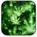 Marijuana Live Wallpaper APK