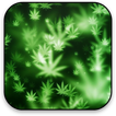 Marijuana Live Wallpaper