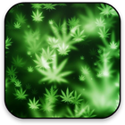Marihuana Hintergrundbilder Zeichen