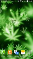 Marihuana Hintergrundbilder Plakat