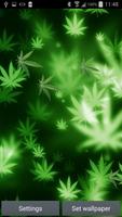 1 Schermata Marijuana