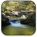 Nature Live Wallpaper APK