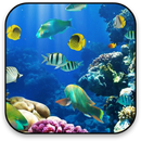 Ocean Live Wallpaper APK