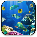 海アニメーションの壁紙