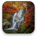 Autumn Live Wallpaper APK