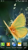 Butterfly پوسٹر