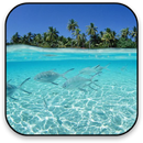 Fishes Live Wallpaper APK
