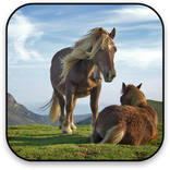 馬アニメーションの壁紙