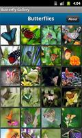 Butterfly Photo Gallery Cartaz