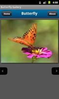 Butterfly Photo Gallery imagem de tela 1