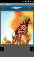 Butterfly Photo Gallery imagem de tela 2