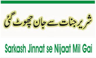 Sarkash Jinnat Se Nijaat Mil Gai تصوير الشاشة 1