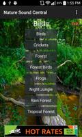 Nature Sound Central poster