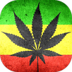 Strains of Weed APK