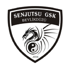 Senjutsu Spor Kulübü 圖標