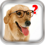 Stellen Sie den Hund Zeichen