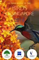 Birds of Singapore 2016 plakat