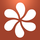 4 Seasons APK