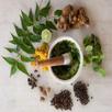 Ayurveda Medicine List APK