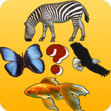 Загадки о животных