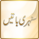 Sunehri Batain in Urdu APK