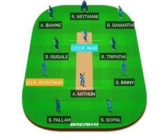Cricinformer(Dream11,My Team11,Halaplay tips) gönderen