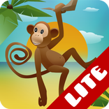 Kids Find the shadow lite